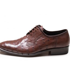 Tabriz Leather shoes